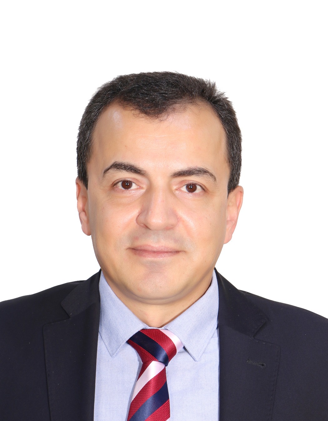 أ.د. محمد احمد نجيب بطيحه